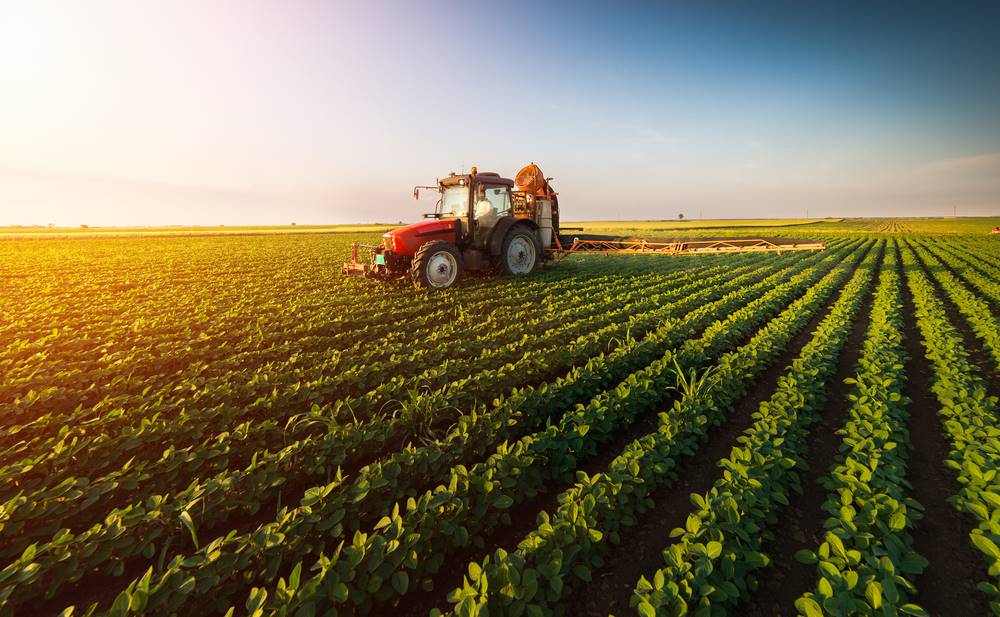 IoT no campo: LoRa garante a conectividade da agricultura de precisão