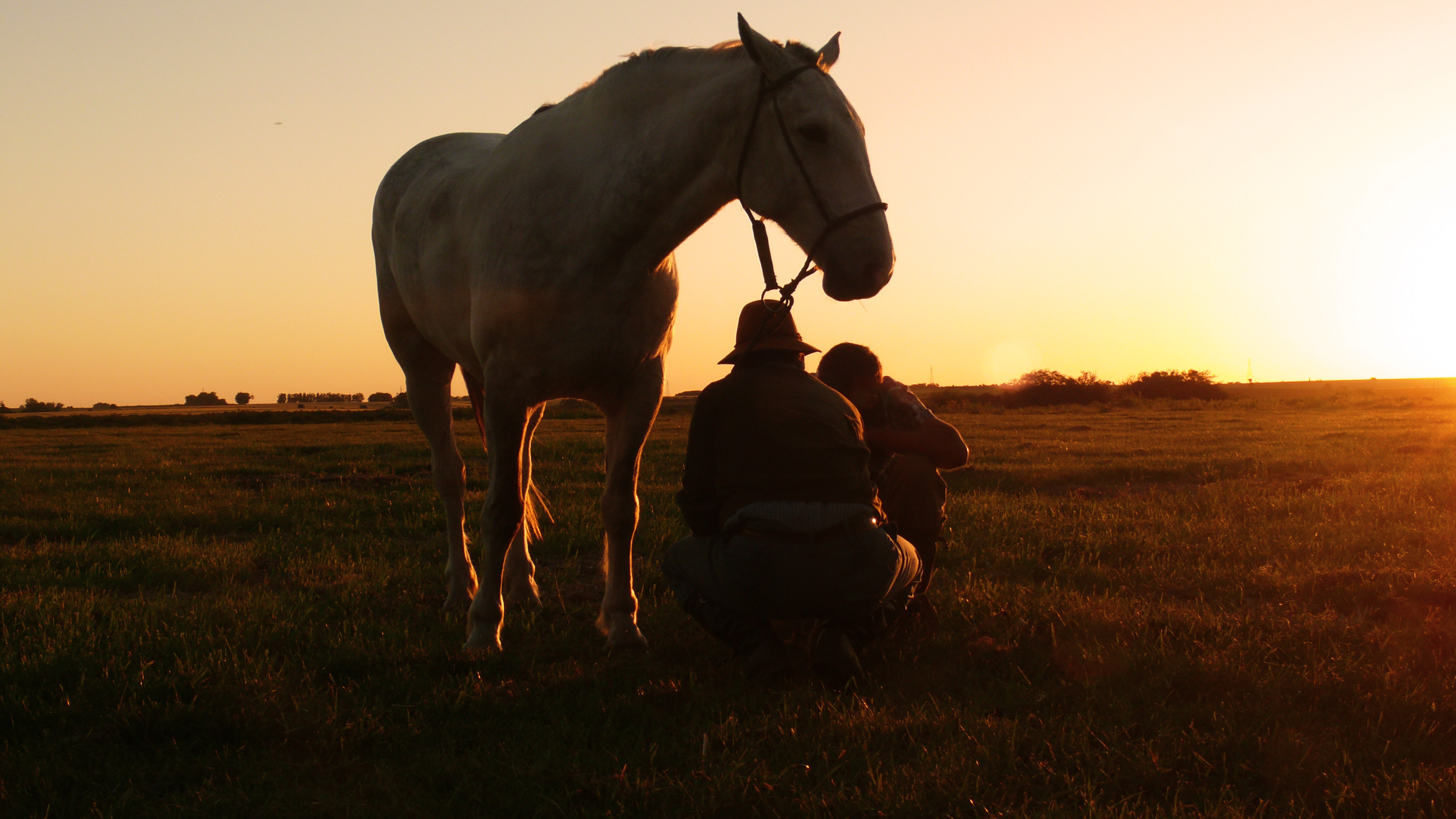 HOLDING RURAL FAMILIAR – VANTAGENS TRIBUTÁRIAS E PATRIMONIAIS